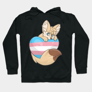 Trans-Flag with a Fennec Fox Hoodie